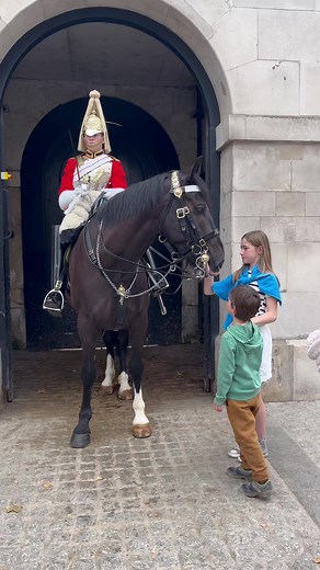 19K views · 439 reactions | This royal kings guards horse doesn't have any biting plan today 掠 #biting #kingshorse #royalguard #horseguard #royalhorse #funny #pranks #hilarious #scary #lindon #england #fbvirals | The Royals King's Guard's England | Facebook