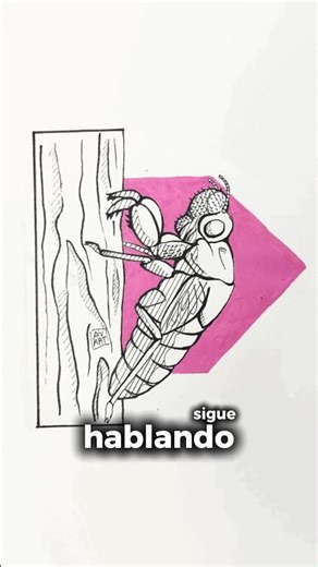 #inktober2025 Día 30 – “Vacío” 🐚 | La belleza de lo que dejamos atrás #dibujo