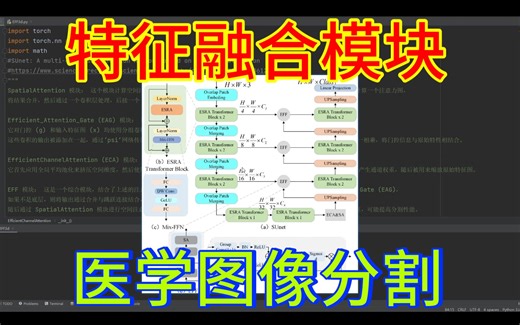EFF：高效特征融合模块，适用于图像分割任务，2d和3d版本