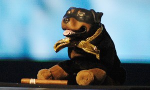 How Triumph the Insult Comic Dog Mastered the Art of Pooping on Politics
