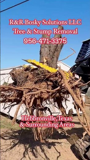 DANUSER INTIMIDATOR TREE PULLER!