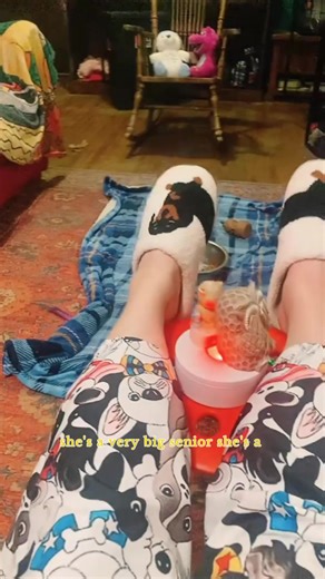 Memoi Women's Cozy Dog Plush Slippers