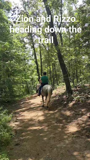 1.8K views · 28 reactions | Both of these horses are 2023 ATFO competitors and will be looking for an adopter on the evening of August 19th. Get your applications in! #atfo #adoptable #rescueismyfavoritebreed | Heart of Phoenix Equine Rescue, INC | Facebook