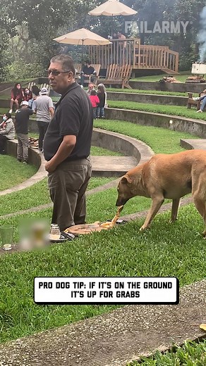 2.7M views · 8K reactions | Move over Pizza Rat...  | FailArmy | Facebook