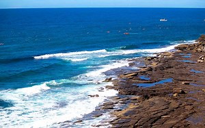 Avalon Beach Surf Swims 2026 - Avalon Beach, NSW