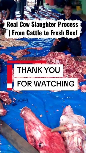 Real Cow Slaughter Process | From Cattle to Fresh Beef #shorts #cow #beef #beefprocessing