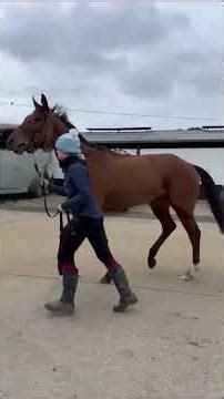 Sky Grove (IRE) - HORSE IN TRAINING - Order of St George (IRE) ex Scarlet Sky (IRE)