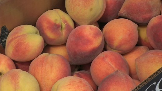 Chicago peach lovers line up for Tree-Ripe Fruit truck fresh from Georgia