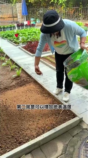 Unlock Quick Germination: Best Seedling Tips for Spring Planting