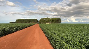 Conheça a fazenda que vai sediar a Abertura Nacional do Plantio da Soja 23/24