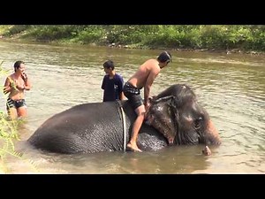 Hannah and prabesh elephant ride