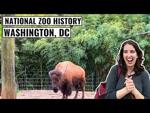 Discovering ANIMALS of the ORIGINAL National Zoo in Washington, DC