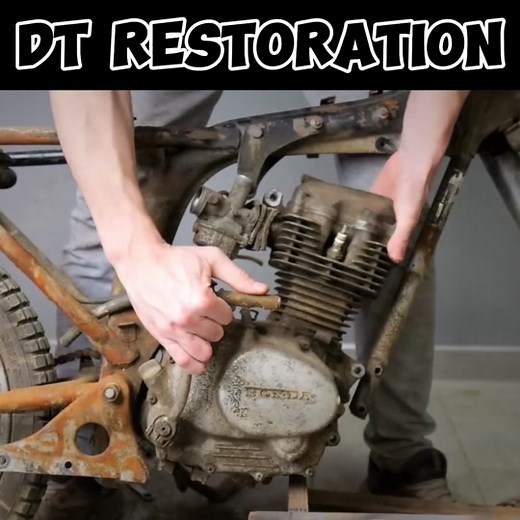 DT Restoration on TikTok