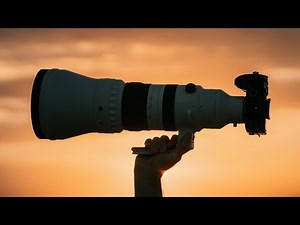 The Sigma 300-600mm f/4 - When The Gods Create a Lens...