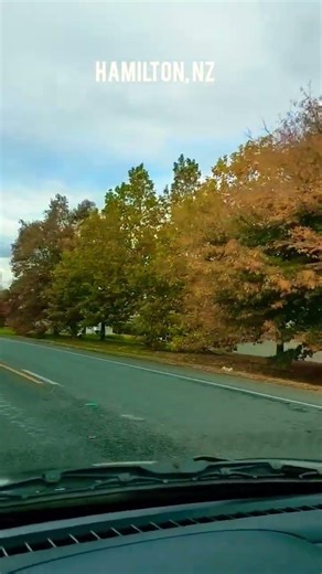 Beautiful Hamilton in Autumn 🍁🍁#shorts #travel #travelblog #newzealand