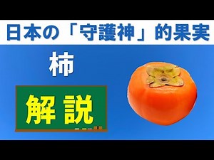 【2023年最新】徹底解説「柿」について｜ 品種・栄養・気になる健康効果も解説