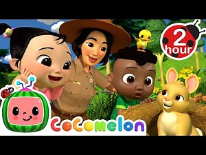 Cody and Cece's Nature Walk | CoComelon - It's Cody Time | CoComelon Songs for Kids & Nursery Rhymes