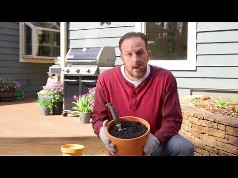 How to Use Amdro Gopher Gasser