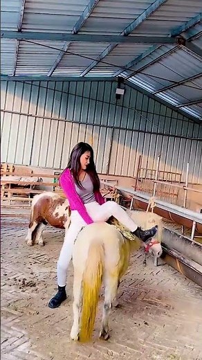 Raising Horses the Gentle and Powerful Way