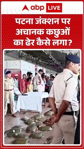 Viral News : पटना जंक्शन पर अचानक कछुओं का ढेर कैसे लगा | Bihar latest news | Viral Video | #shorts