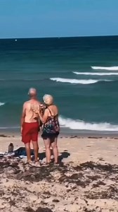 50K views · 791 reactions | Groups had 30 minutes to write love songs to these viral videos... Lia, my word. | Song House | Facebook