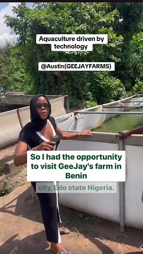 Lagosfarmgirl on TikTok