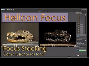 Focus stacking con Helicon Focus
