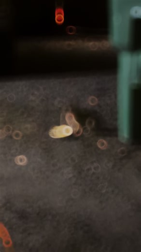 Bobert. #fyp #fastAFboy #dinnertime #weouthere #bunnygang