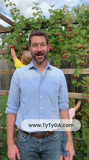 Grow Raspberry Plants at Home | Easy Backyard Berry Patch