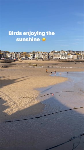 Nature | Visit St Ives