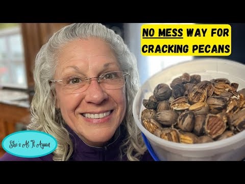 No Mess Way for Cracking Pecans