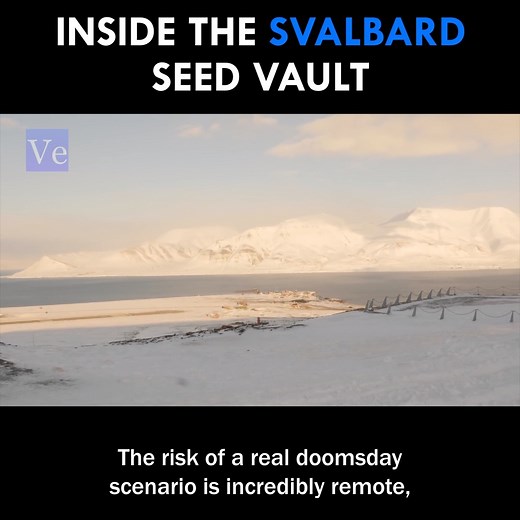 Inside the Svalbard Seed Vault | Veritasium