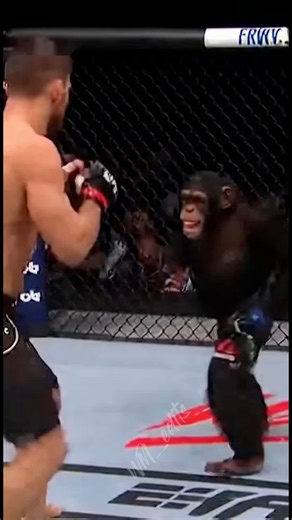 Alexis Rodriguez Morales on Reels