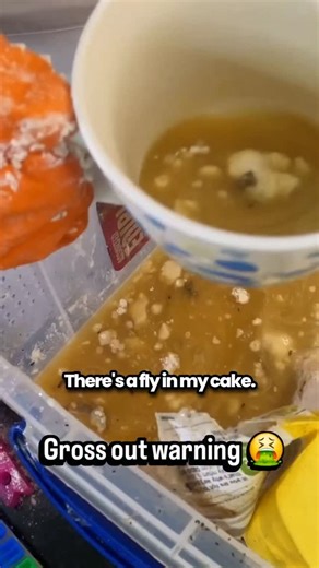 DWMC on Instagram: "We held off on what we thought was our best video at the time. Said we would release this if we ever hit 10k and we have.... so here it is. 'Out Of Date Cake' is a huge nod to the classic cake trilogy from @sushitrash @maxmoefoeofficial @anything4views & @idubbbz from back in the day. We always thought it would be funny to cook a dish with very out of date (even rotten) ingredients. #cooking #baking #cake #dwmc"