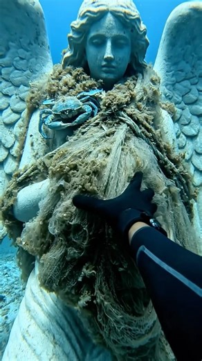 I found a weeping ANGEL trapped in the deep! 👼🕸️💔