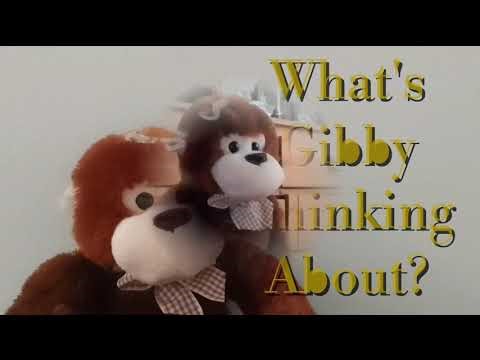 What's Gibby Thinking About? Intro Bloopers #16