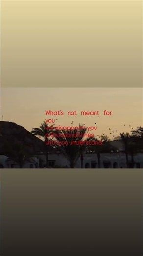 Not every loss is a loss, some are redirections.🕊️