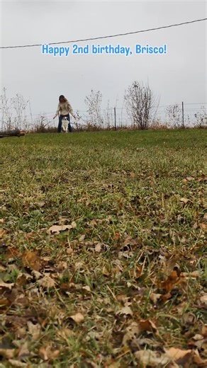 Carrie Schmidt on Reels