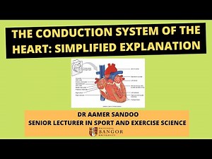 Simple Guide to The Conduction System of the Heart