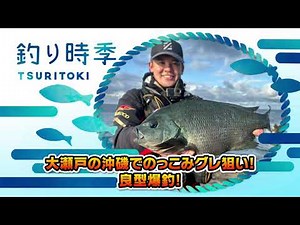 【フカセ釣り】全層棒ウキ釣法で長崎・大瀬戸のグレを狙う【釣り時季】