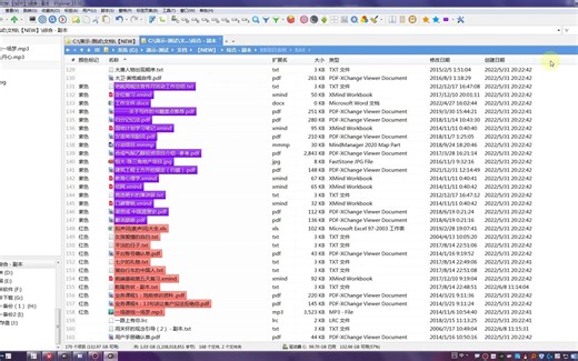 043 办公神器XYplorer标注+标签+备注 # 文件再多再乱也不怕(1)