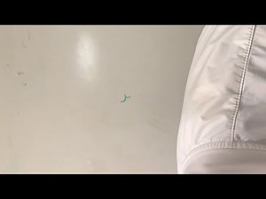 Pass protection in the Air Raid Spread Offense