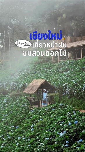 Mist-ify your life with breathtaking views ~🌿 📍 yoddoi_monjam, chiang mai ดอกไฮเดรนเยียที่ยอดดอยม่อนแจ่ม บานแล้วน๊าทุกคน ไปช่วงหน้าฝนแบบนี้หมอกฟินยาวๆทั้งวันเลย ☁️🤍 มาเชียงใหม่ นอกจากเที่ยวคาเฟ่และเดินสายมูแล้ว ก็ต้องสวนดอกไม้นี่แหละ ที่อยากแนะนำ 😉💐 ⏰ ถ่ายเมื่อ 2 ก.ย. 2024 เวลา 9:30 📸 @phingpit 💙ส่วนลดเที่ยวบิน ที่พักเชียงใหม่ลดสูงสุด 60% คลิกลิงก์บน bio ดูรายละเอียดเลย! #ม่อนแจ่ม #สวนดอกไม้แม่ริม #สวนดอกไม้เชียงใหม่ #ดอกไฮเดรนเยีย #เที่ยวเชียงใหม่
