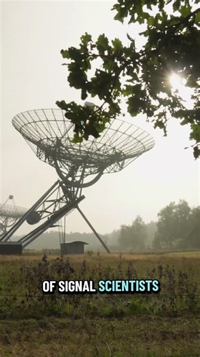 The WOW Signal: Alien Message or Cosmic Coincidence?