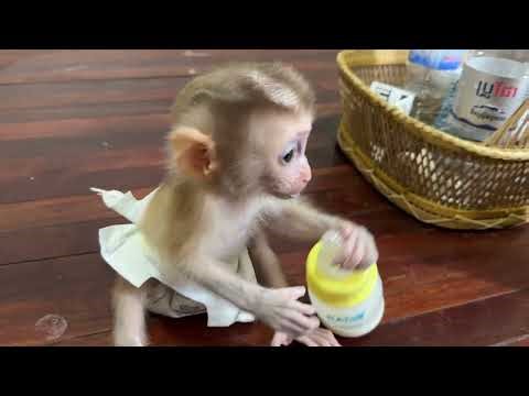 In the morning he plays with his mom and drink milk 🥛