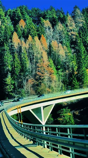 Exploring the Beautiful Nature of Switzerland