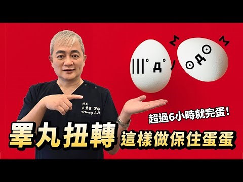 扭蛋危機！睪丸扭轉的三大症狀 錯過黃金治療期只能切除？泌尿科醫師分享搶救蛋疼真實案例【幸福醫師 莊豐賓醫師】