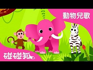 動物 動物 動物 | 動物兒歌 | 碰碰狐pinkfong！兒童兒歌