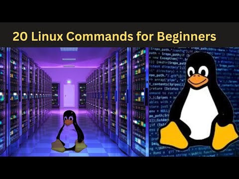 20 Most Important Linux Commands for Beginners | Linux Basic Commands