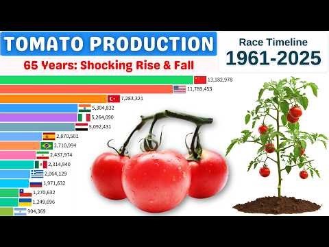Largest Tomato Production by Countries (1961–2025) | World’s Top 10 Tomato Producers
